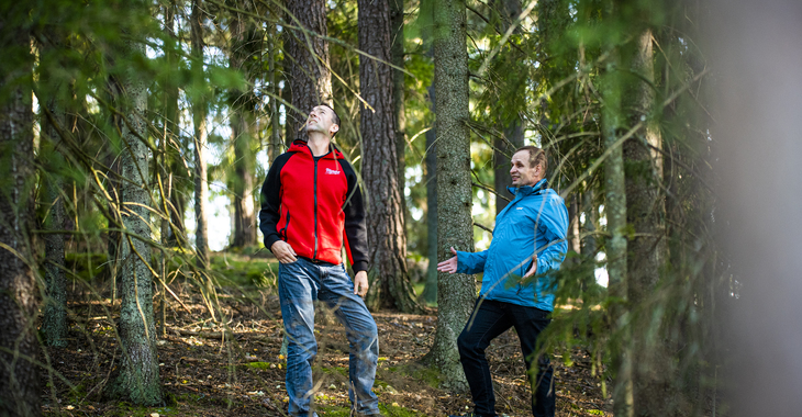 Ruskon metsäomaisuus inventoidaan ja hoidetaan