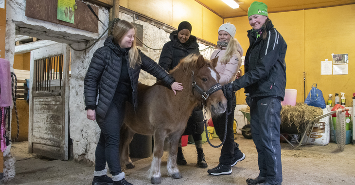 Ponit opettavat sosiaalisia taitoja
