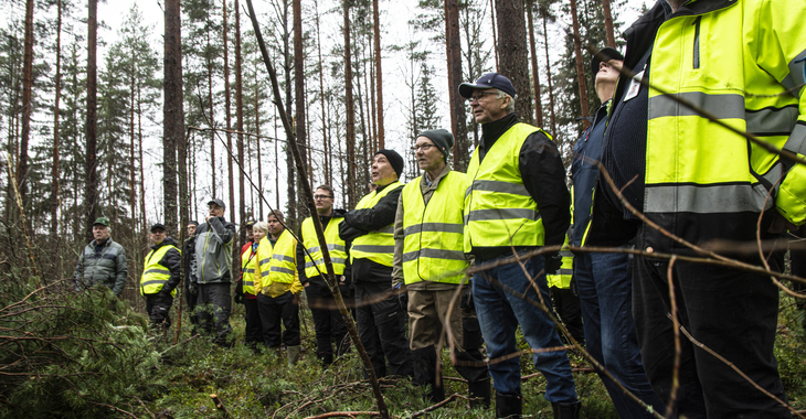 Jatkuvan kasvatuksen periaate vaalii monimuotoisuutta