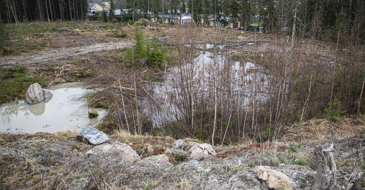 Rusko oikoo kaatopaikkaan liittyviä syytöksiä