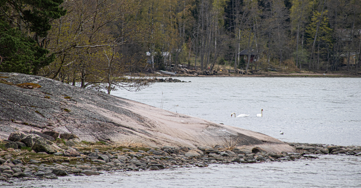Liedon valtuustossa keskusteltiin Meriliedosta